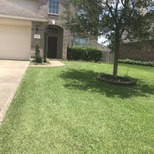 Pinkney's Lawn Services