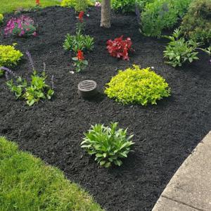 J&S Property Solutions