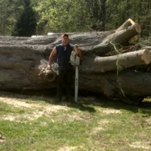 Carolina Tree Management