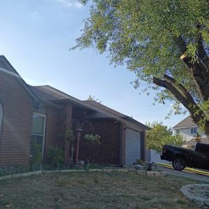 Tree Of Life Precision & Lawn Care Service