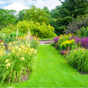 R.J. Davis Lawn Care