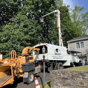 Bolton Landscaping & Tree Service