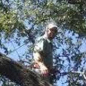 Granbury Tree Service