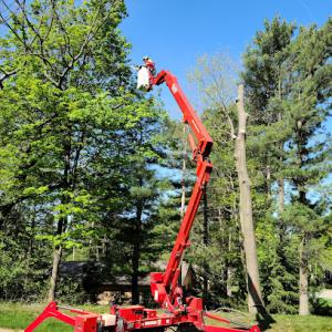 Atkin tree service