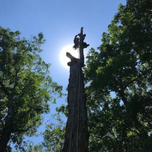 Third Coast Tree Service
