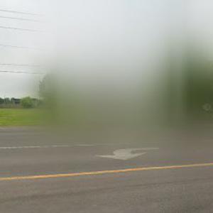 Rancho Hermoza Tree Service & Lot Clearing