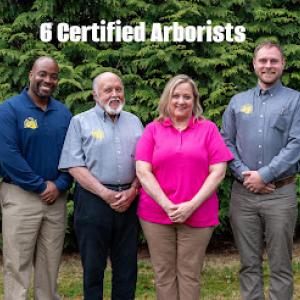 Keystone Tree Expert