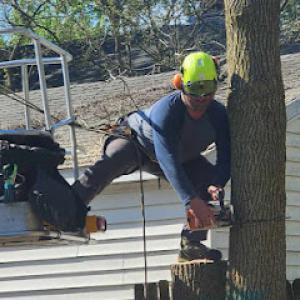 Michiana Tree Service