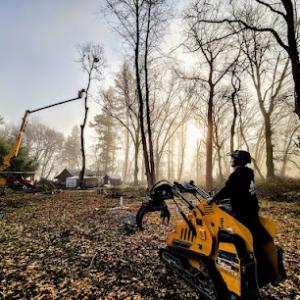 Top Notch Tree Service