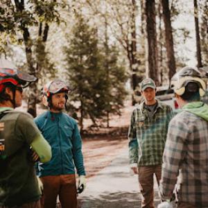 First Impressions Tree Service & landscape