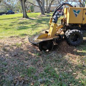 Hank's Stump Grinding