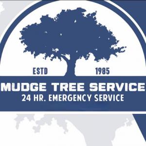 Mudge Tree Service