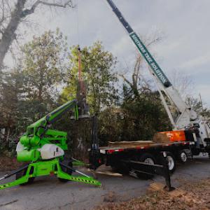 Southern Tree Solutions