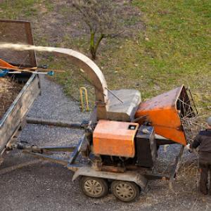 Wright's Tree Service