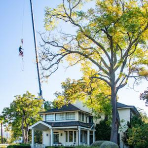 Second Nature Tree Service