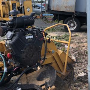 Premium Tree Service