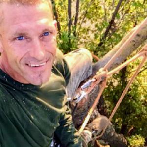 Lewis Kings Tree Service