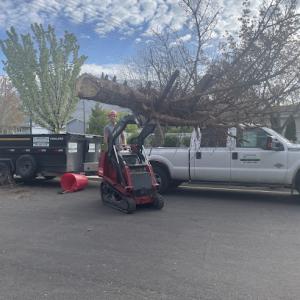 Good Guys Tree Service Of Utah