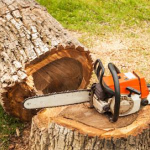 NRH Tree Service & Stump Grinding