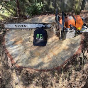 B & C Riley Tree Services