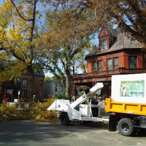 Brady's Tree Service