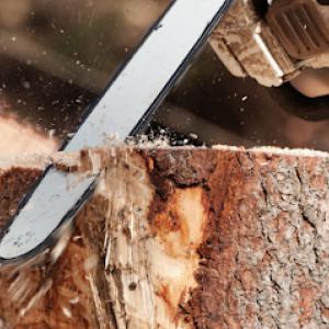 Poythress Stump Grinding