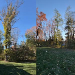 Ramos Tree Service & Landscaping