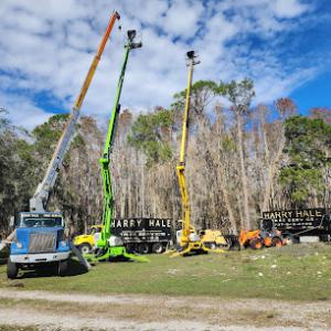 Harry Hale Tree Service