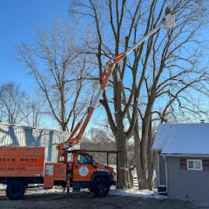 Timber Bros Tree Services