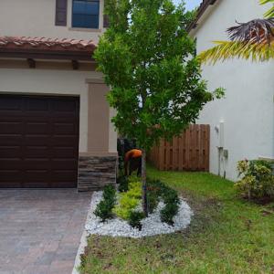 Mini Company Landscaping & Maintenance