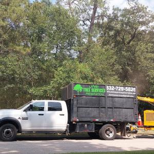 JNE Tree Service