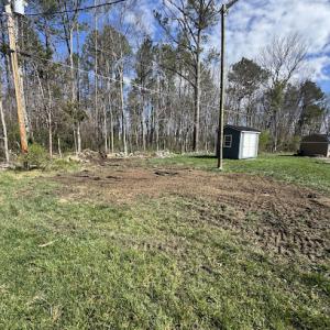 Grind & Gone Stump Grinding