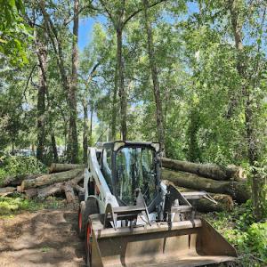 Down To Earth Tree Service