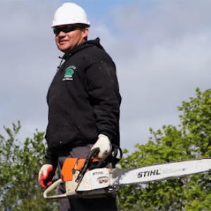 Tree Cutting & Trimming Nassau County