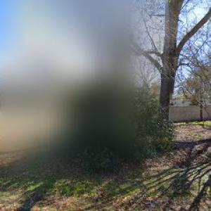 Sutton's Tree Service