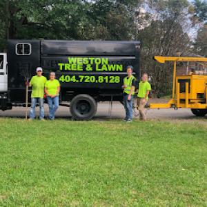 Weston Tree Service