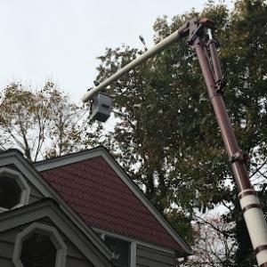 Top Notch Tree Service