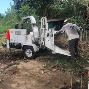 Shamrock Tree Service Hawaii