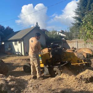 New Life Tree Service