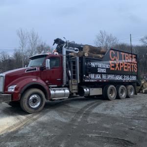CJ Tree Experts