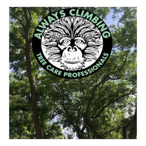 Always Climbing Tree Care