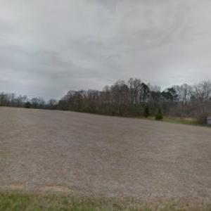 Rt 205 Stump Grinding