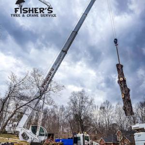 Fisher's Tree & Crane Service