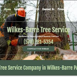 Wilkes Barre PA Tree Service