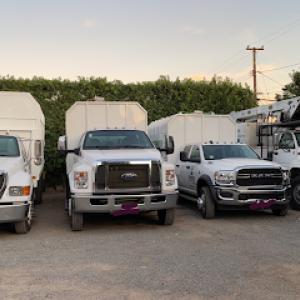 Premier Tree Experts