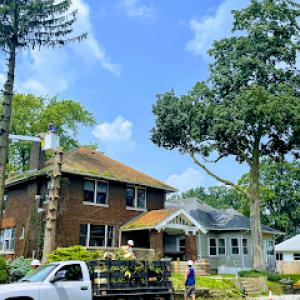 Steve’s Family Tree