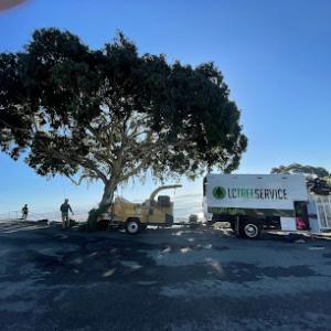 LC Tree Service