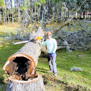 Lake City Tree Service
