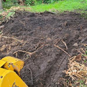 Affordable Stump Grinding