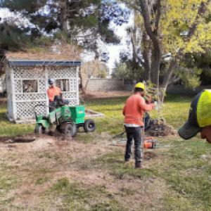 Chad’s Chippers Tree Service